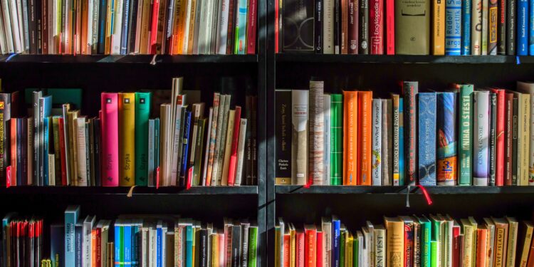 TOP 5: My 2023 Reading List